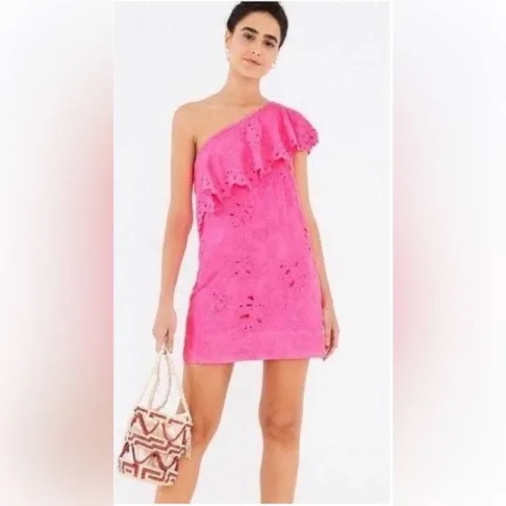 Farm Rio Pink Eyelet Lace Mini Dress Size S Cotton Lined (Runs Small)